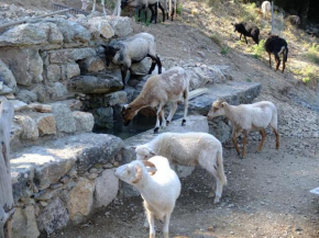 Les Bergeries 